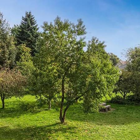 Ferienhaus 3 Bedroom Gorgeous In *